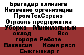 Бригадир клининга › Название организации ­ ПромТехСервис › Отрасль предприятия ­ Уборка › Минимальный оклад ­ 30 000 - Все города Работа » Вакансии   . Коми респ.,Сыктывкар г.